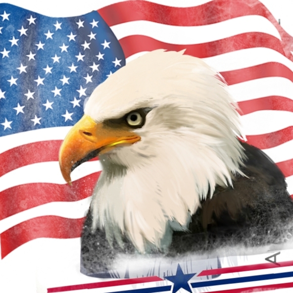 American Eagle Tee/Sequined Heart - Picture 3 of 17